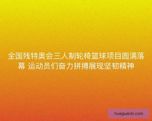 全国残特奥会三人制轮椅篮球项目圆满落幕 运动员们奋力拼搏展现坚韧精神