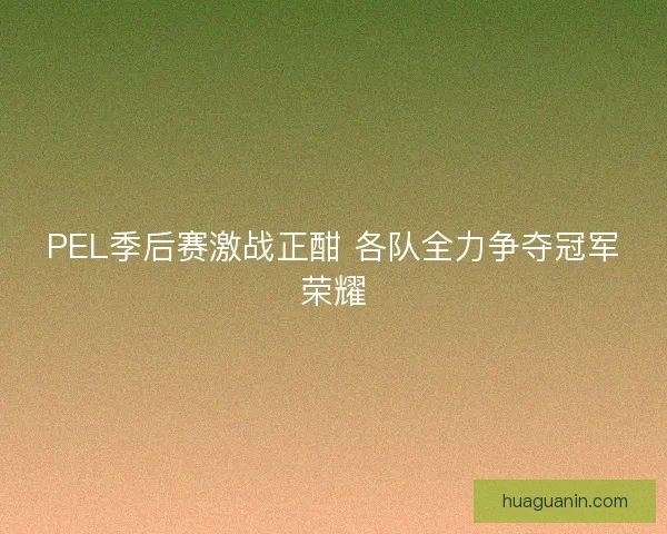 PEL季后赛激战正酣 各队全力争夺冠军荣耀